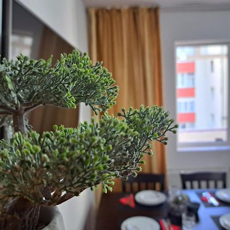 Aviliz Apartament Buşteni Extérieur photo