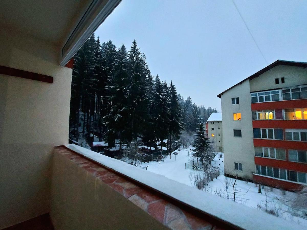 Aviliz Apartament Buşteni Extérieur photo