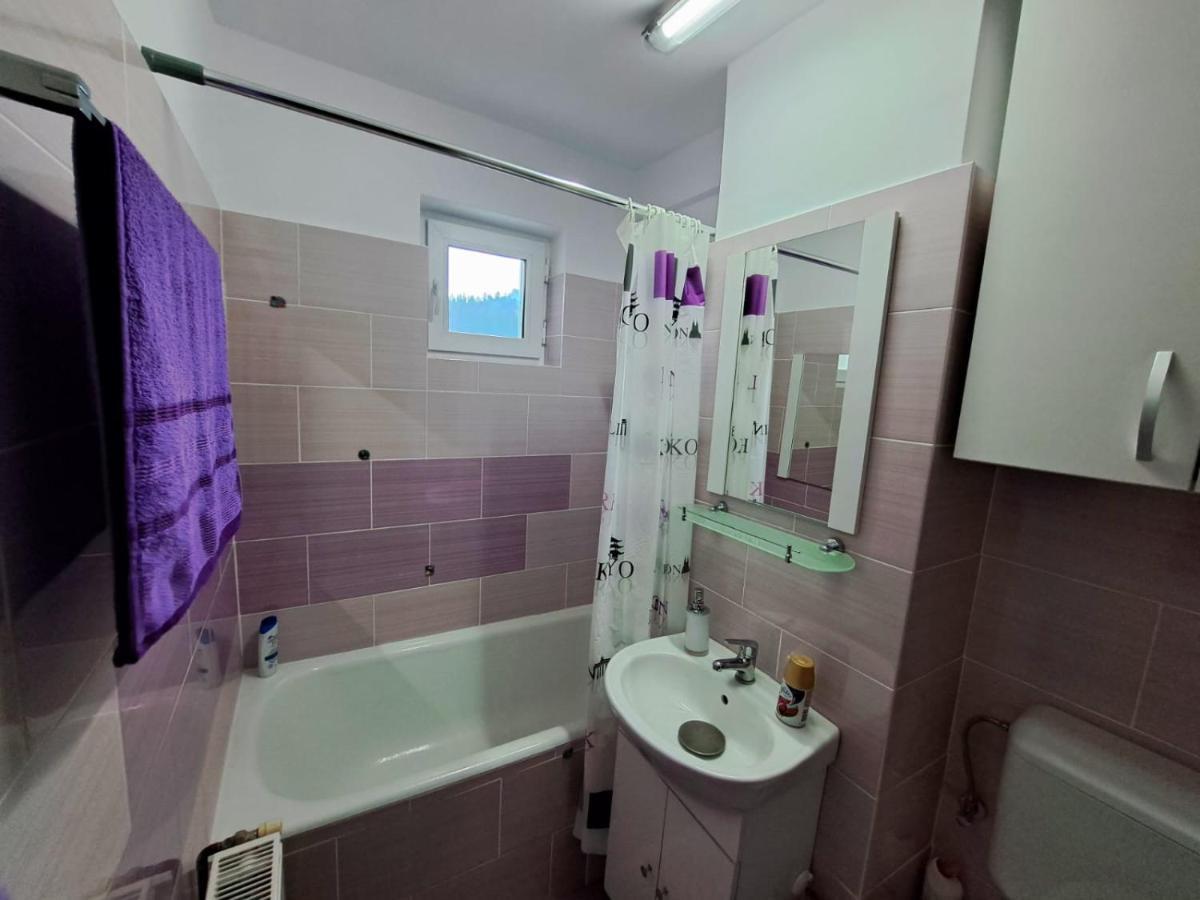 Aviliz Apartament Buşteni Extérieur photo
