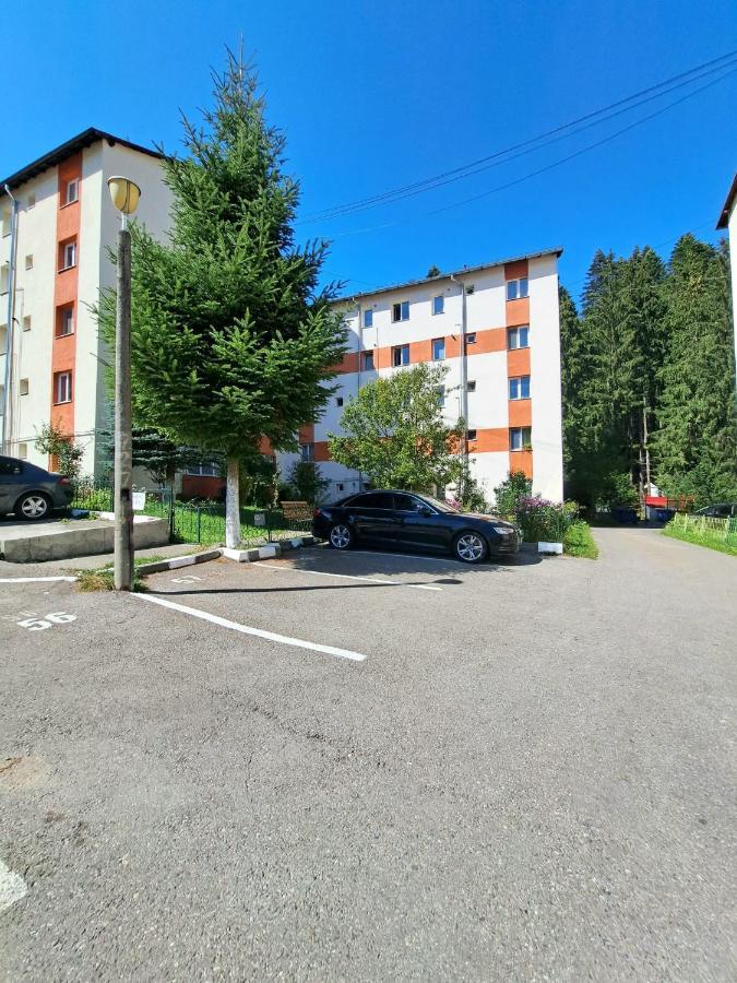 Aviliz Apartament Buşteni Extérieur photo