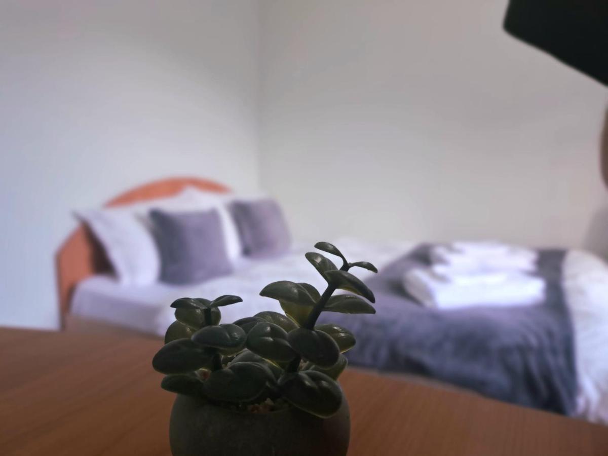Aviliz Apartament Buşteni Extérieur photo